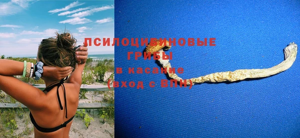 стаф Богородицк