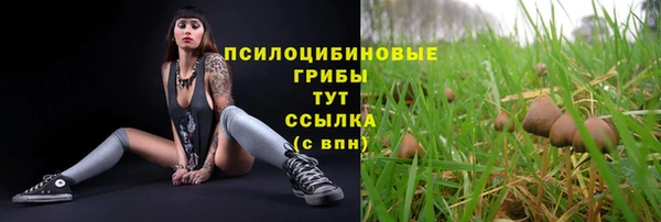 метадон Богданович