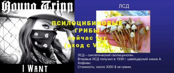 наркотики Белокуриха