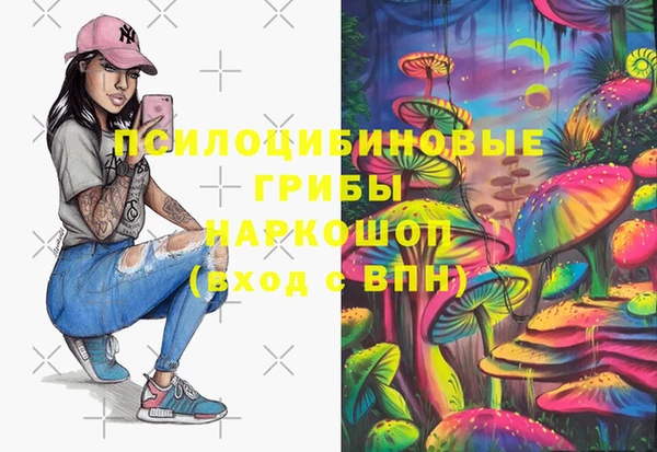 эйфоретик Богородск