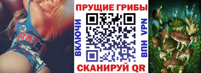 купить наркотик  Барабинск  Псилоцибиновые грибы ЛСД 